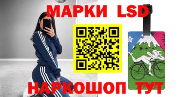 apvp Камышлов