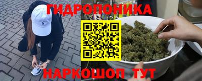 прущие крисы Ипатово