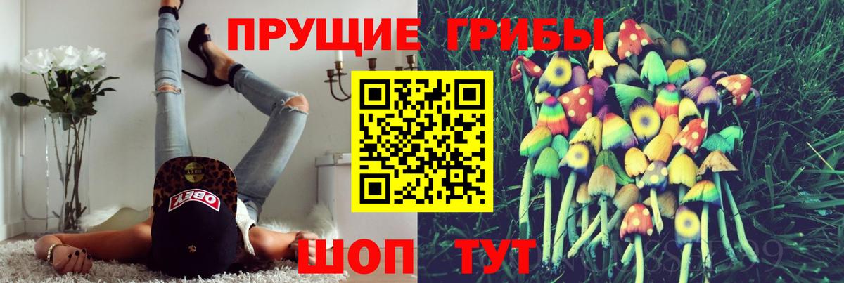Галлюциногенные грибы Magic Shrooms Лесозаводск